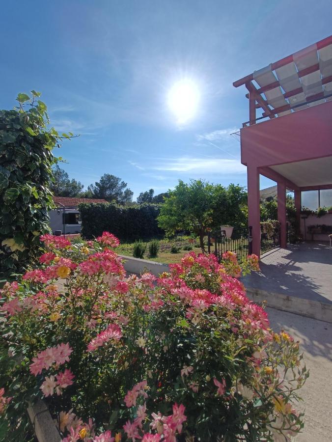 Appartamento Apartman Brigita Biograd Na Moru Esterno foto