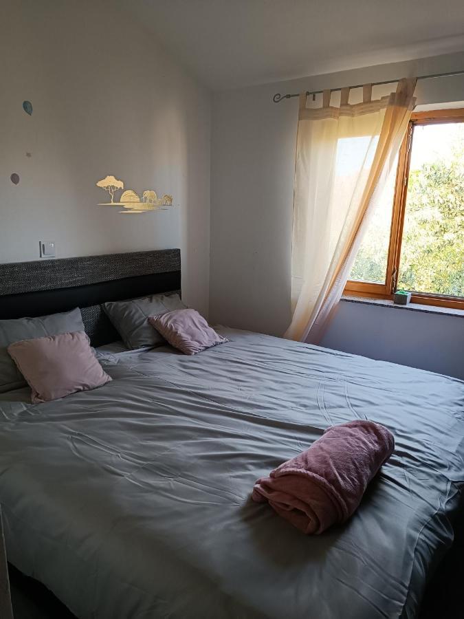 Appartamento Apartman Brigita Biograd Na Moru Esterno foto